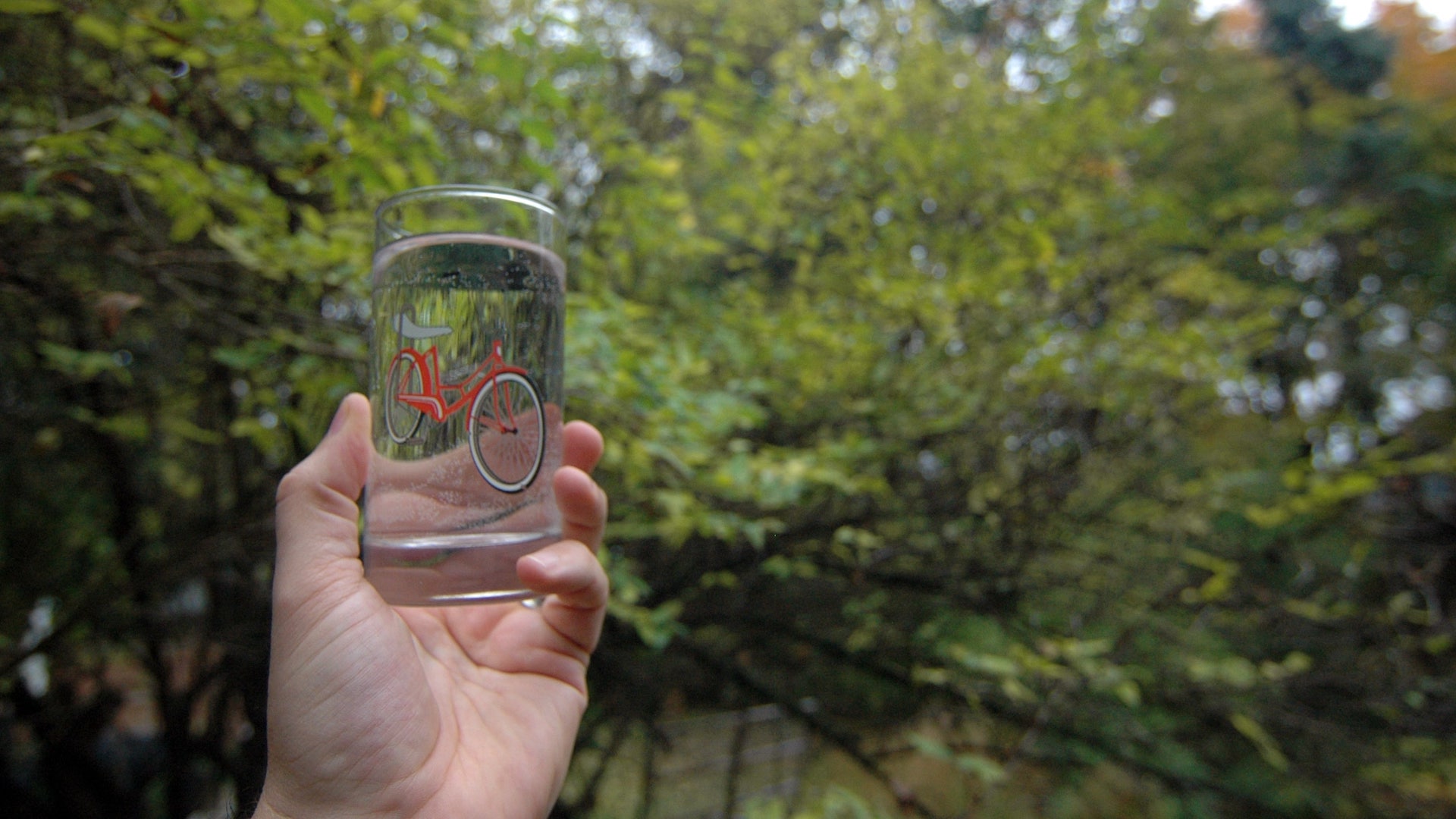 A hand holding up a glass of water.