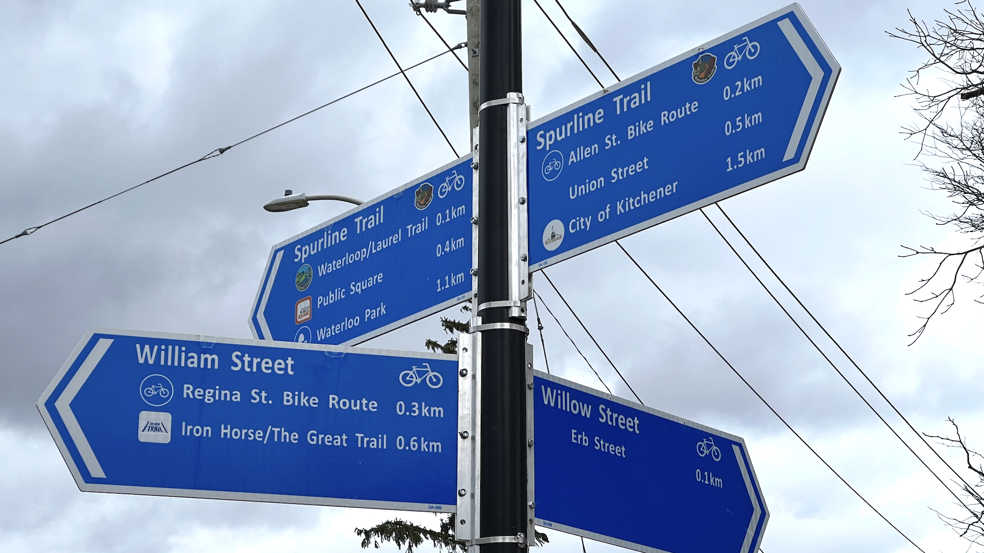 A pole has four blue wayfinding signs, each pointing in a different direction. Each sign indicates what can be found by traveling along the trail in that direction.
